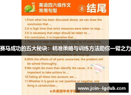赛马成功的五大秘诀：精准策略与训练方法助你一臂之力
