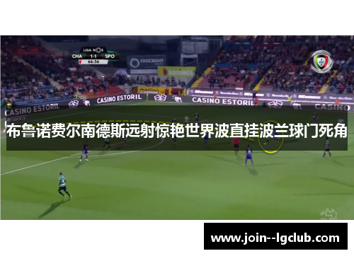 布鲁诺费尔南德斯远射惊艳世界波直挂波兰球门死角